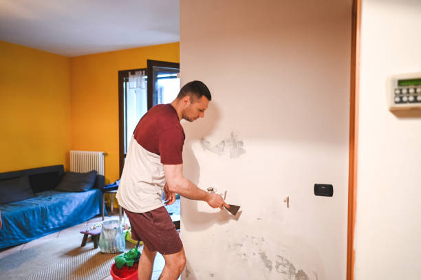 Best Commercial Mold Removal  in Richland Hills, TX