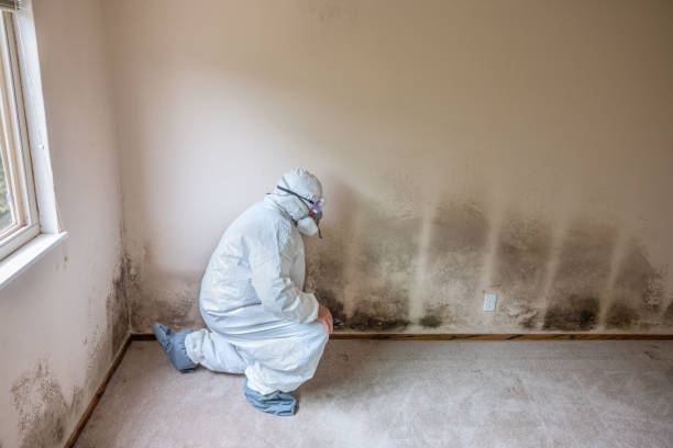 Best Mold Testing  in Richland Hills, TX