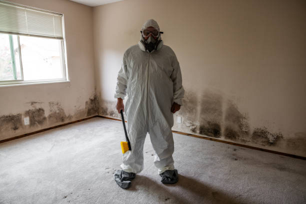 Best Toxic Mold Removal  in Richland Hills, TX