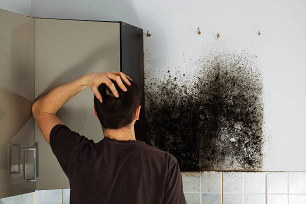 Trusted Richland Hills, TX Mold Removal Experts